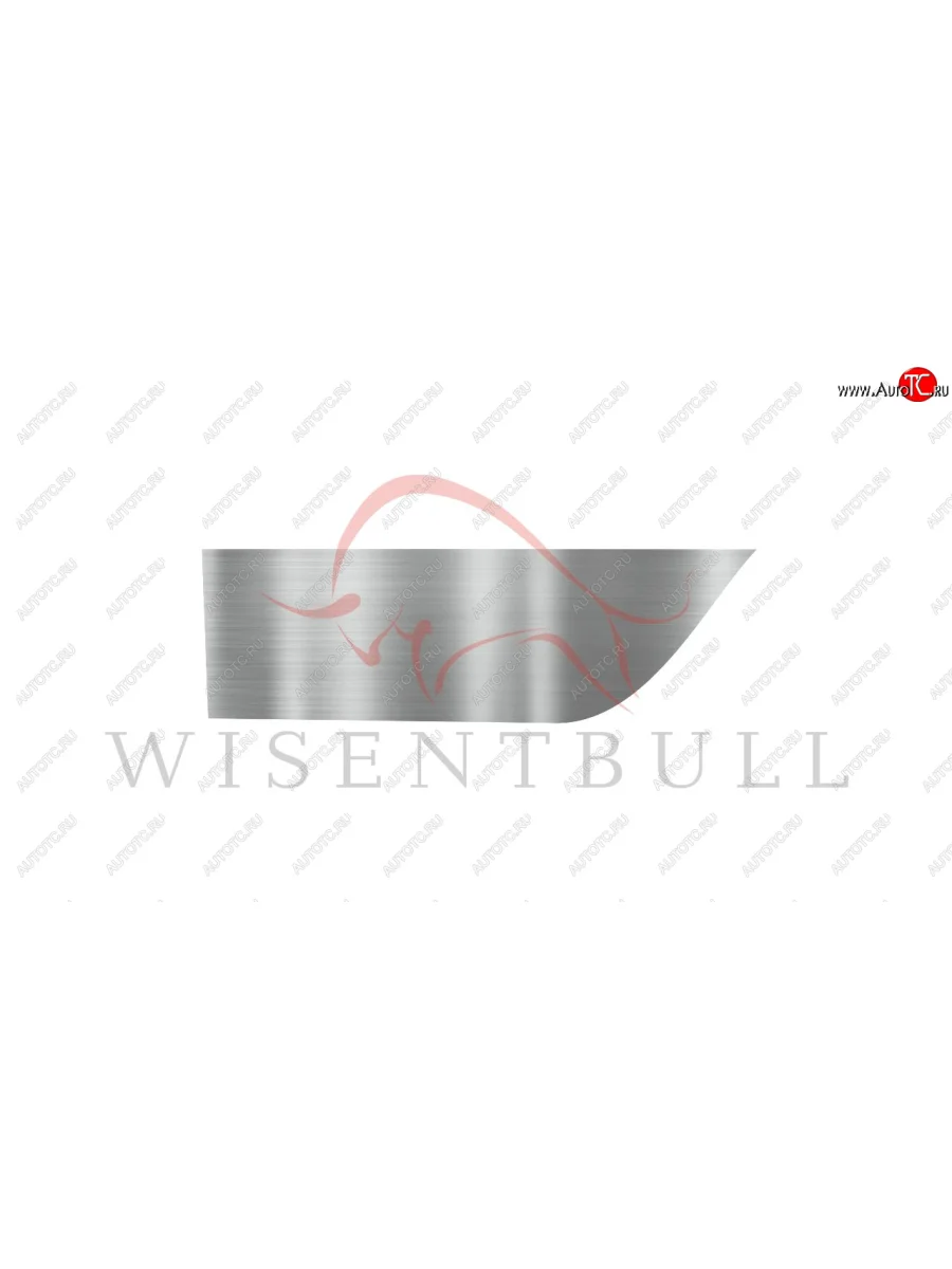 Ремкомплект левой двери Wisentbull  KIA  Magentis, Optima  2 MG  в Самаре Самарской области