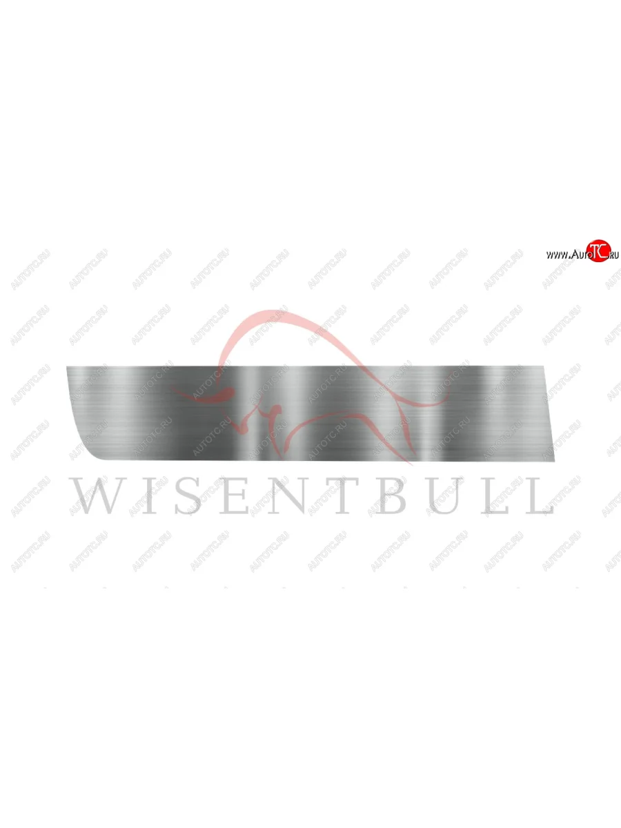 Ремкомплект левой двери Wisentbull KIA Spectra (2000-2009)  в Самаре Самарской области