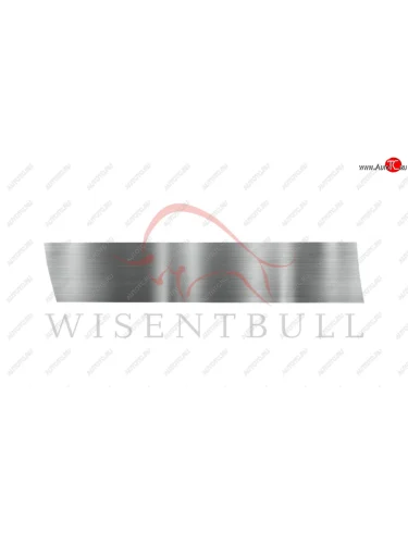 Ремкомплект левой двери Wisentbull Lexus IS300  XE10 седан (1998-2005), Toyota Altezza (1998-2005)