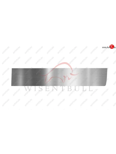 Ремкомплект правой двери Wisentbull Lexus IS300  XE10 седан (1998-2005), Toyota Altezza (1998-2005)