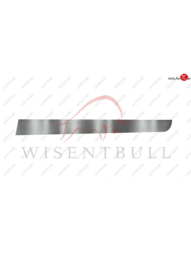 Ремкомплект правой двери Wisentbull Mercedes-Benz E-Class ( W212,  S212) (2009-2017) дорестайлинг седан, дорестайлинг универсал, рестайлинг универсал, рестайлинг седан