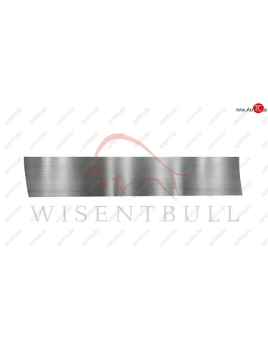 Ремкомплект левой двери Wisentbull Mercedes-Benz R-Class W251/V251 рестайлинг (2011-2015)