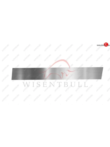 Ремкомплект правой двери Wisentbull Богдан 2251 санитарный фургон (2016-2025)