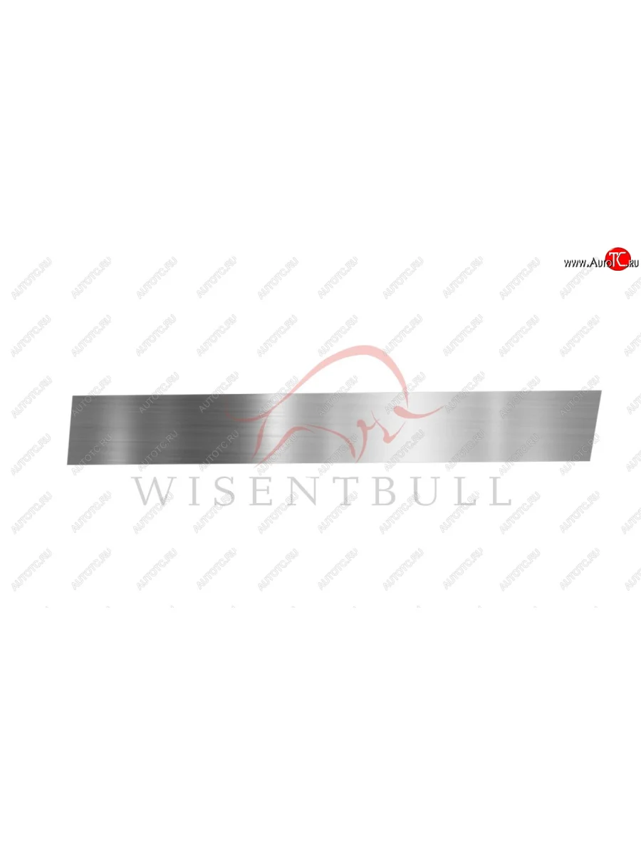 Ремкомплект правой двери Wisentbull Богдан 2251 санитарный фургон (2016-2025)  в Перми Пермском крае