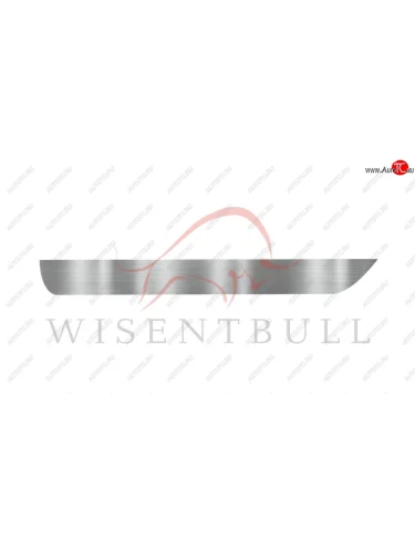 Ремкомплект правой двери Wisentbull Peugeot 3008 (2009-2017) дорестайлинг, рестайлинг