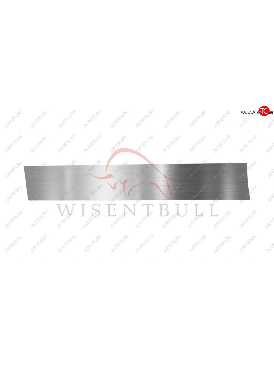 Ремкомплект левой двери Wisentbull  Peugeot 607 (2000-2009)  в Воронеже Воронежской области