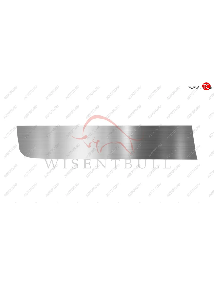 Ремкомплект левой двери Wisentbull  Renault Laguna (1993-2001) X56  в Керчи Республика Крым