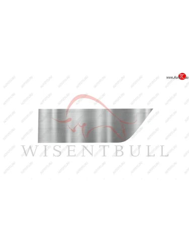 Ремкомплект левой двери Wisentbull Renault Megane ( седан,  универсал,  хэтчбэк 5 дв.) (2002-2009)  дорестайлинг,  рестайлинг