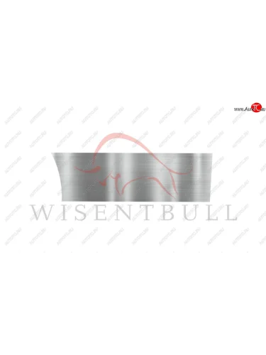 Ремкомплект левой двери Wisentbull Subaru Legacy  BD/B11 (1993-1996) седан дорестайлинг