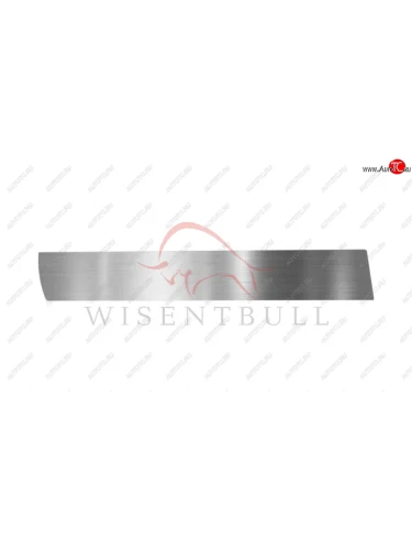 Ремкомплект левой двери Wisentbull Toyota Caldina  T190 - Corona  T190