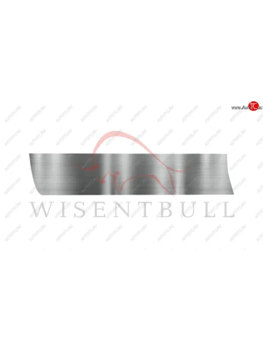 Ремкомплект левой двери Wisentbull Toyota Camry  XV20 (1999-2001)