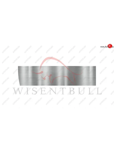Ремкомплект левой двери Wisentbull Москвич 2140 - 412