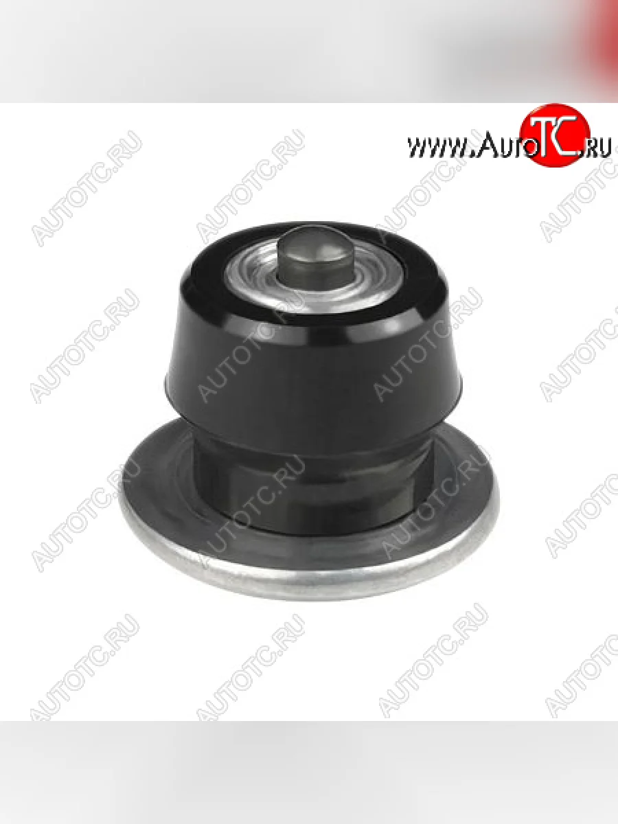 Шипы ремонтные (12-10-2ТРА) РЕМШИП Seat Mii (2011-2019) (100 шт.)  с доставкой в г. Пермь