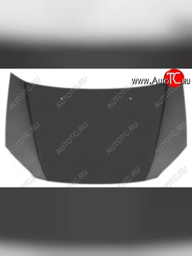 Капот (Тайвань) BodyParts Hyundai Getz TB хэтчбэк 5 дв. дорестайлинг (2002-2005)