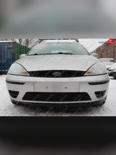 Защитная сетка в бампер (ячейка 3х7 мм) Alfeco Стандарт (Чёрная) Ford Focus  1 (2001-2005) седан рестайлинг, универсал рестайлинг, хэтчбэк 3 дв. рестайлинг, хэтчбэк 5 дв. рестайлинг
