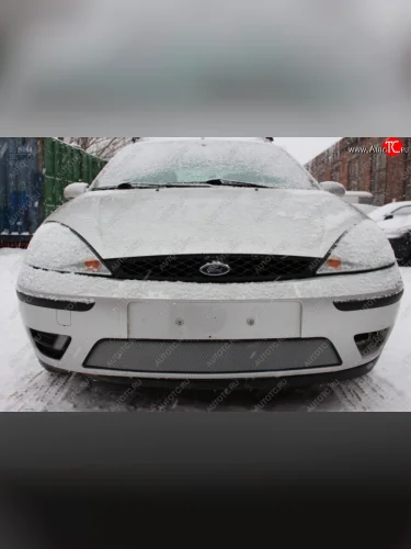 Защитная сетка в бампер (ячейка 3х7 мм) Alfeco Стандарт (Хром) Ford Focus  1 (2001-2005) седан рестайлинг, универсал рестайлинг, хэтчбэк 3 дв. рестайлинг, хэтчбэк 5 дв. рестайлинг