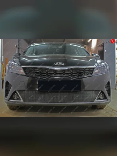 Защитная сетка в бампер (низ, ячейка 3х7 мм) Alfeco Стандарт (Чёрная) KIA Rio X рестайлинг (2020-2025)