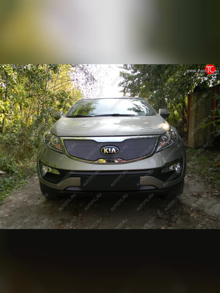 Защитная сетка в бампер (компл.Classic, верх, ячейка 3х7 мм) Alfeco Стандарт  KIA Sportage (2014-2016) 3 SL (Хром)  в Воронеже Воронежской области