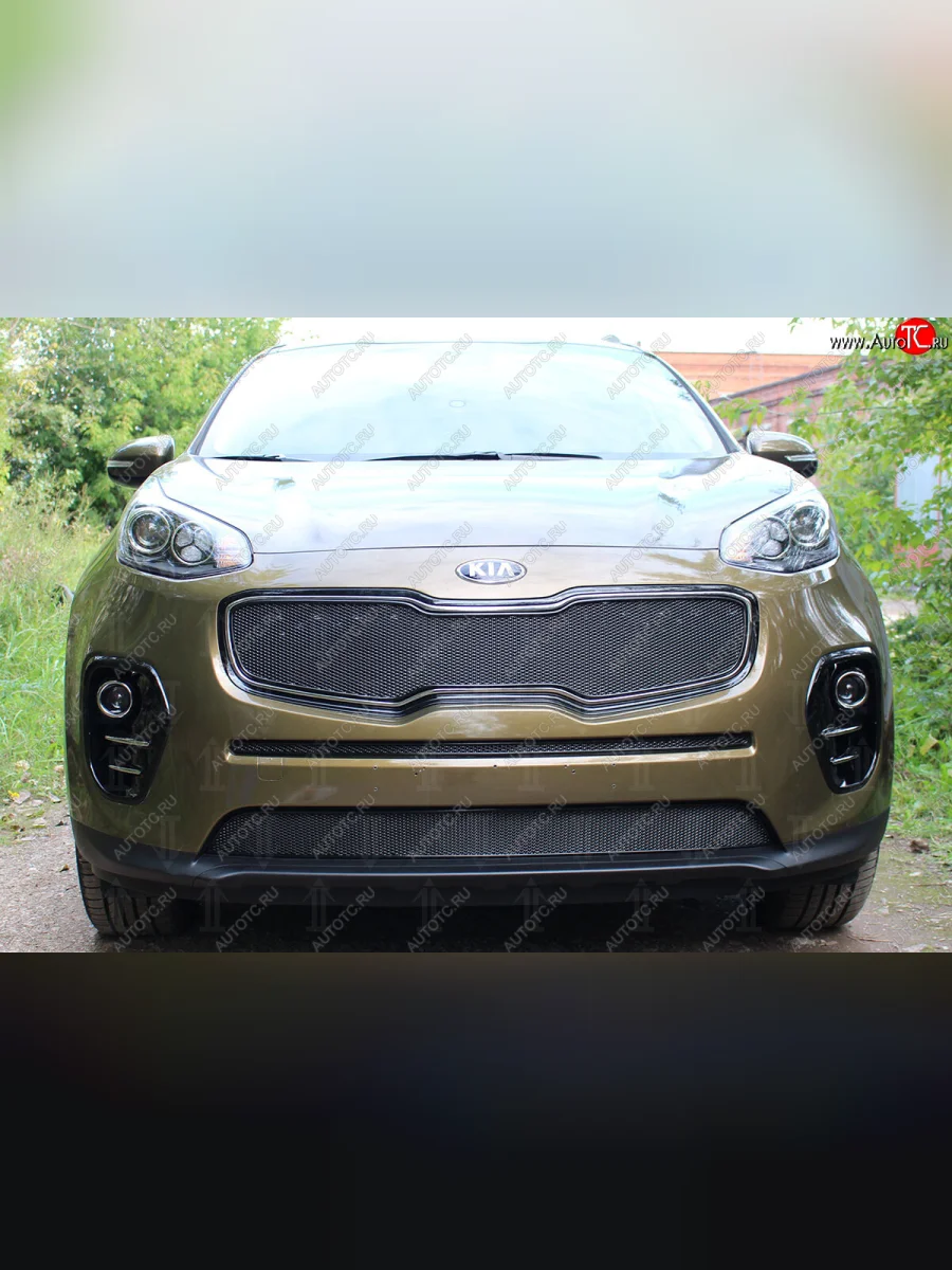 Защитная сетка в бампер (низ, ячейка 3х7 мм) Alfeco Стандарт  KIA Sportage (2016-2018) 4 QL (Чёрная)  в Воронеже Воронежской области