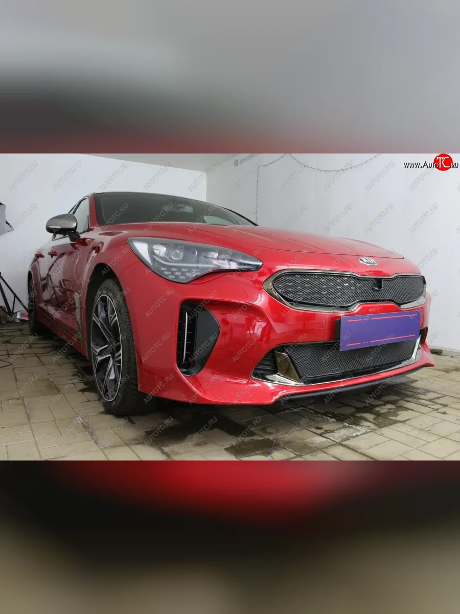 Защитная сетка в бампер (верх, ячейка 4х10 мм) Alfeco Премиум KIA Stinger (2017-2025) (Чёрная)  в Перми Пермском крае