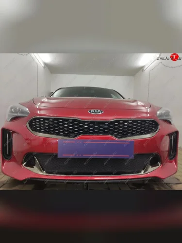Защитная сетка в бампер (низ, ячейка 3х7 мм) Alfeco Стандарт (Чёрная) KIA Stinger (2017-2025)