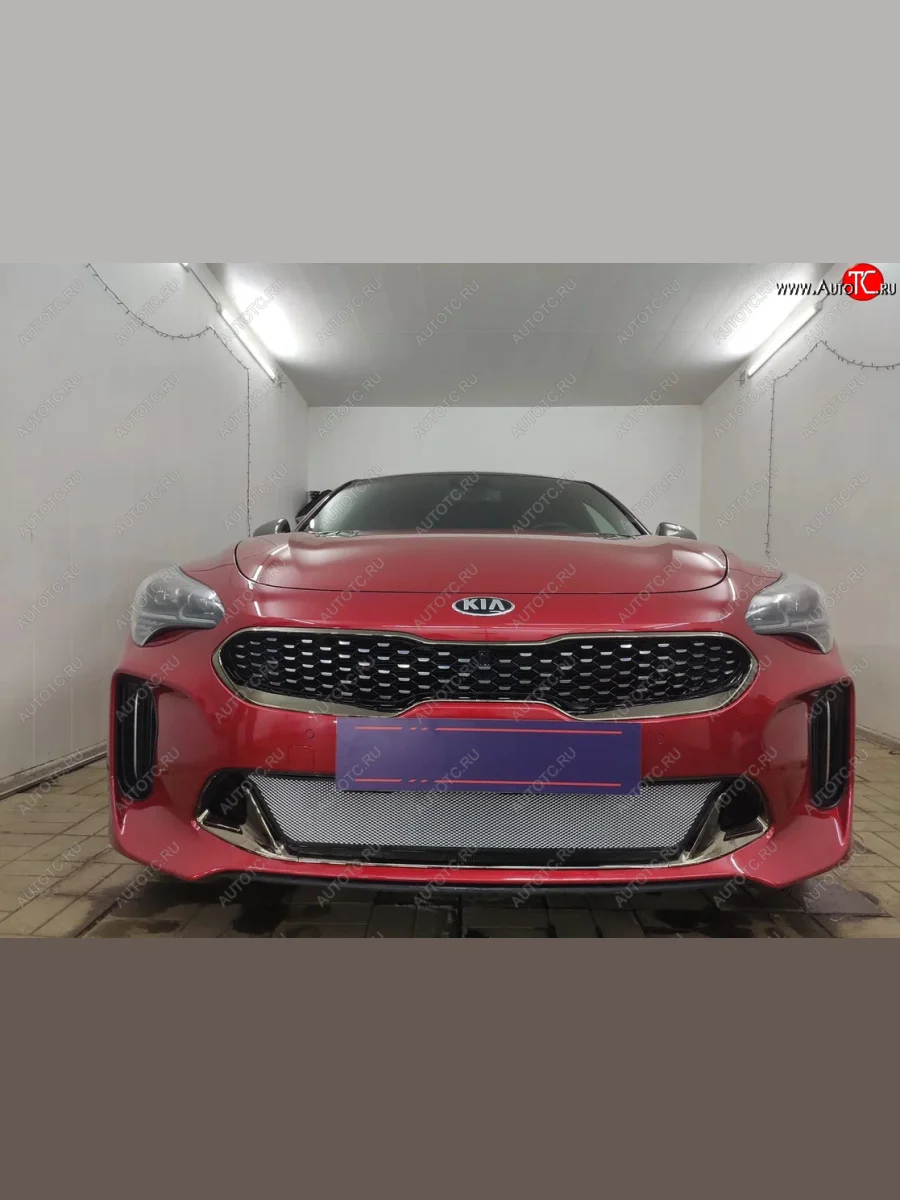 Защитная сетка в бампер (низ, ячейка 3х7 мм) Alfeco Стандарт KIA Stinger (2017-2025) (Хром)  в Самаре Самарской области