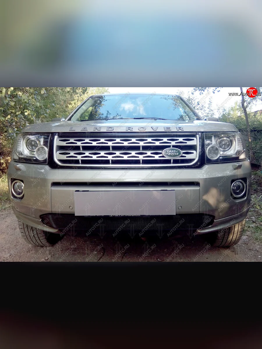 Защитная сетка в бампер (бензин, низ, ячейка 3х7 мм) Alfeco Стандарт Land Rover Freelander L359 1-ый рестайлинг (2010-2012) (Чёрная)  в Воронеже Воронежской области