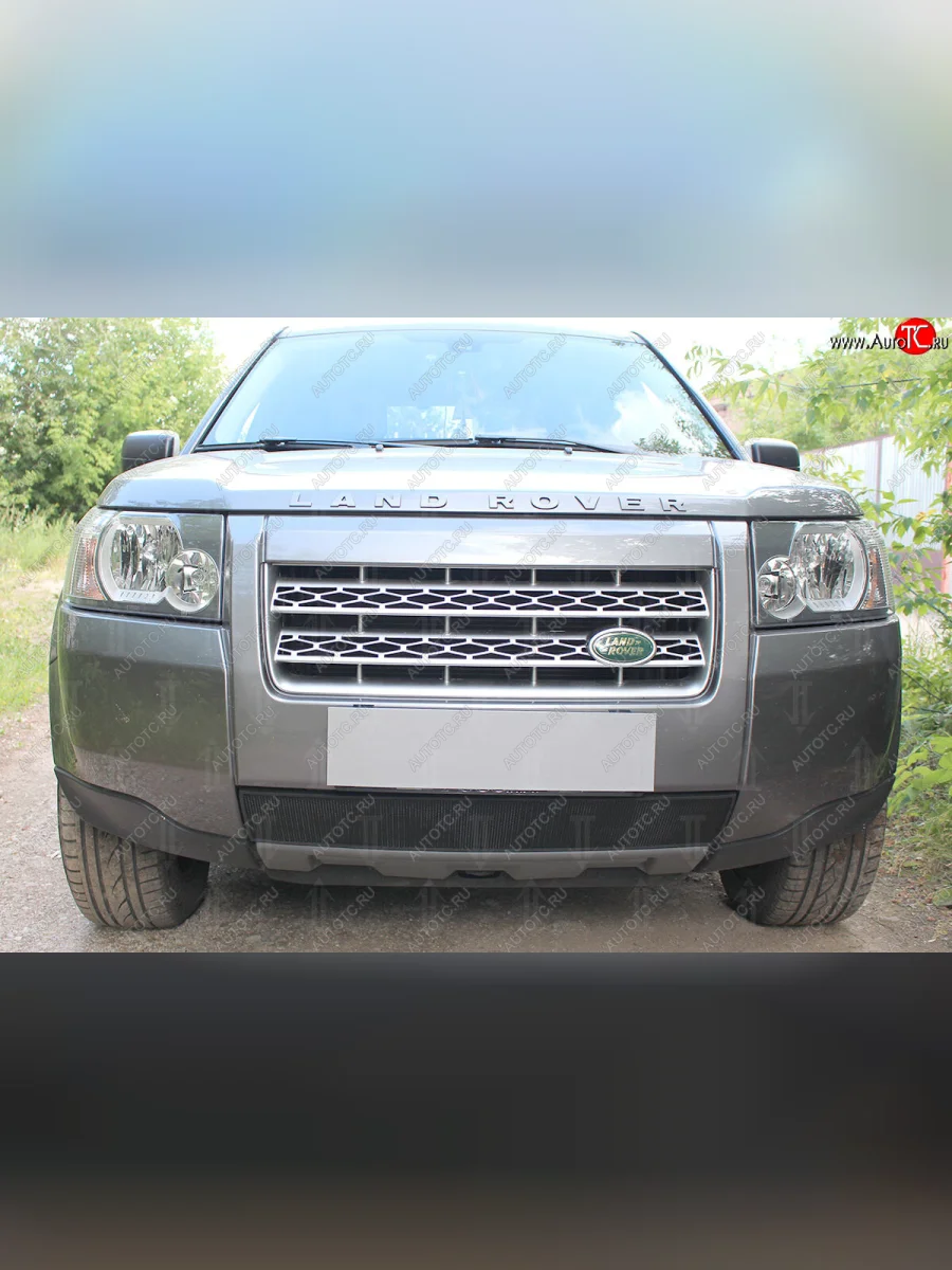 Защитная сетка в бампер (низ, ячейка 3х7 мм) Alfeco Стандарт Land Rover Freelander L359 дорестайлинг (2006-2010) (Чёрная)  в Самаре Самарской области