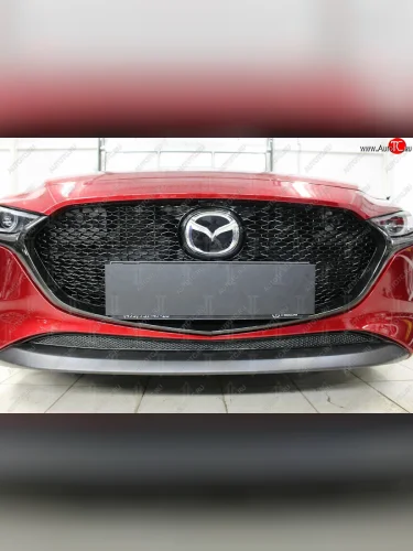 Защитная сетка в бампер (низ, ячейка 4х10 мм) Alfeco Премиум (Чёрная) Mazda 3/Axela BP хэтчбэк (2019-2025)
