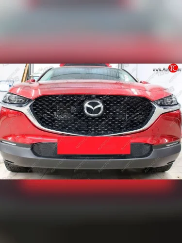 Защитная сетка в бампер (низ, ячейка 3х7 мм) Alfeco Стандарт (Чёрная) Mazda CX-30  1 DM (2019-2025)
