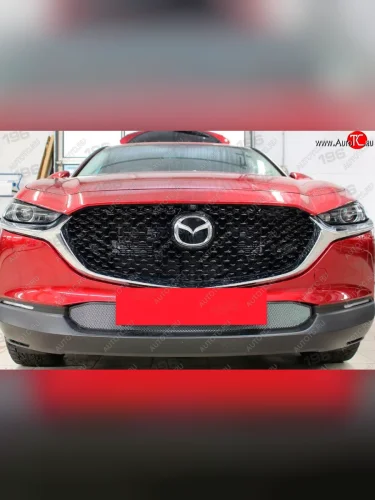 Защитная сетка в бампер (низ, ячейка 3х7 мм) Alfeco Стандарт (Хром) Mazda CX-30  1 DM (2019-2025)