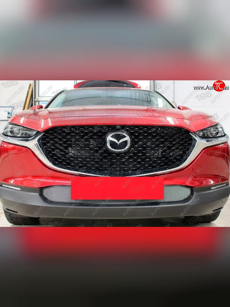 Защитная сетка в бампер (низ, ячейка 3х7 мм) Alfeco Стандарт  Mazda CX-30 (2019-2025) 1 DM (Хром)  в Воронеже Воронежской области