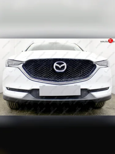 Защитная сетка в бампер (низ, ячейка 3х7 мм) Alfeco Стандарт (Чёрная) Mazda CX-5 KF (2016-2025)