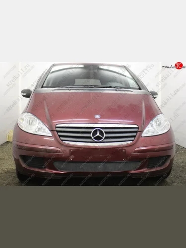 Защитная сетка в бампер (низ, ячейка 3х7 мм) Alfeco Стандарт (Чёрная) Mercedes-Benz A class W169 дорестайлинг, хэтчбэк 5 дв. (2005-2008)