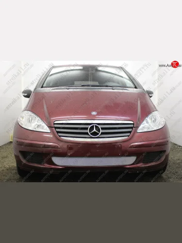 Защитная сетка в бампер (низ, ячейка 3х7 мм) Alfeco Стандарт (Хром) Mercedes-Benz A class W169 дорестайлинг, хэтчбэк 5 дв. (2005-2008)