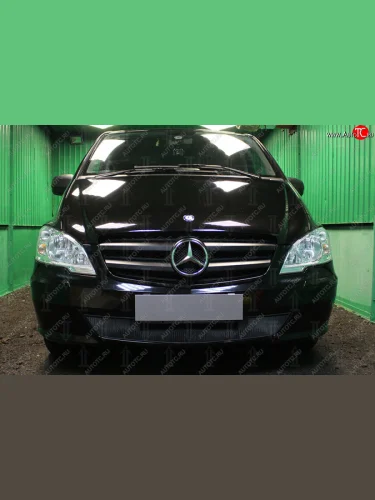 Защитная сетка в бампер (низ, ячейка 3х7 мм) Alfeco Стандарт (Чёрная) Mercedes-Benz Vito W639 рестайлинг (2010-2014)