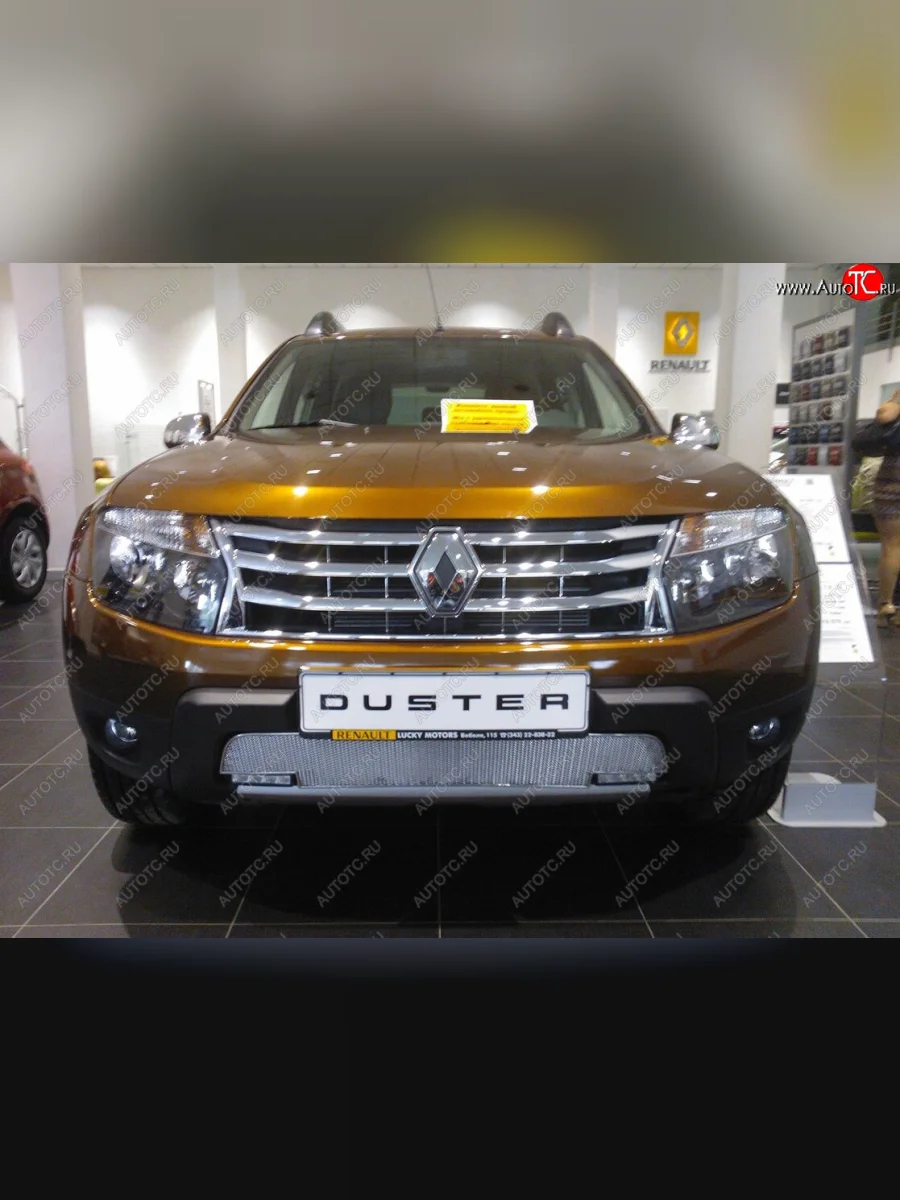 Защитная сетка в бампер (низ, с вырезом под ДХО, ячейка 4х10 мм) Стрелка11 Премиум Renault Duster HS дорестайлинг (2010-2015) (Хром)  с доставкой в г. Керчь