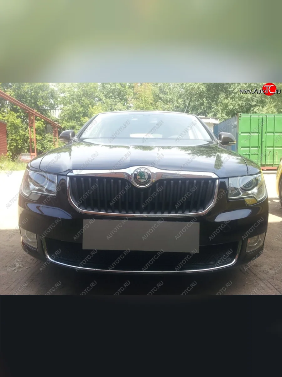 Защитная сетка в бампер (низ, ячейка 4х10 мм) Стрелка11 Премиум Skoda Superb B6 (3T5) универсал доресталийнг (2009-2013) (Чёрная)  с доставкой в г. Пермь