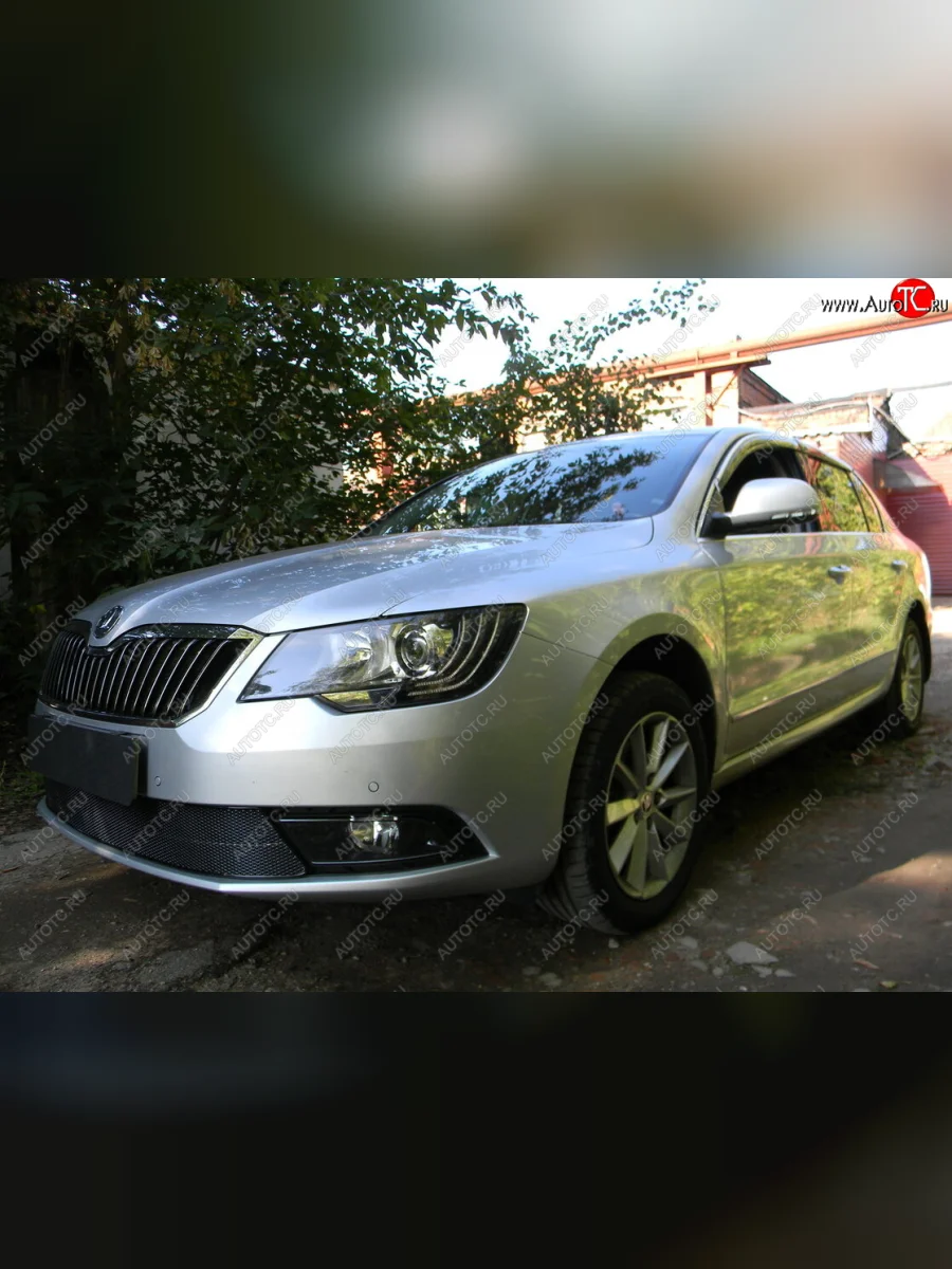 Защитная сетка в бампер (низ, ячейка 4х10 мм) Стрелка11 Премиум Skoda Superb B6 (3T5) универсал рестайлинг (2013-2015) (Чёрная)  в Перми Пермском крае