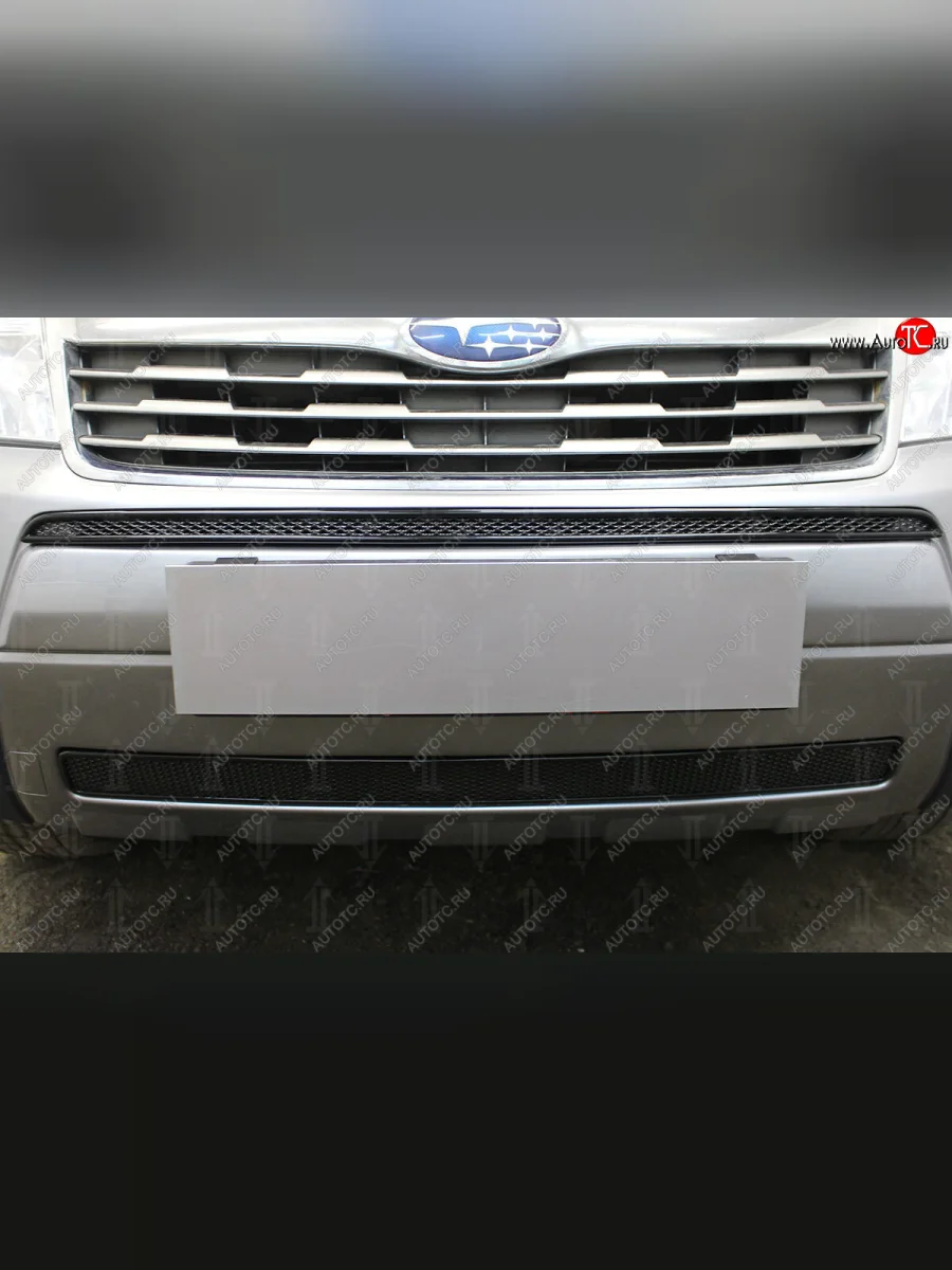 Защитная сетка в бампер (середина, ячейка 4х10 мм) Стрелка11 Премиум Subaru Forester SH (2008-2013) (Чёрная)  в Перми Пермском крае
