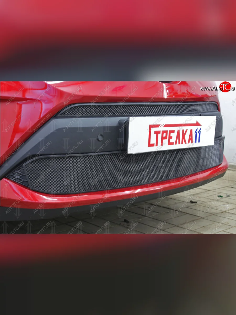 Защитная сетка в бампер (низ, ячейка 4х10 мм) Стрелка11 Премиум Toyota C-HR NGX10, ZGX10 рестайлинг (2019-2025) (Чёрная)  в Самаре Самарской области