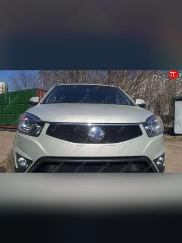 Защитная сетка в решетку радиатора Russtal SSANGYONG Actyon рестайлинг (2013-2021)