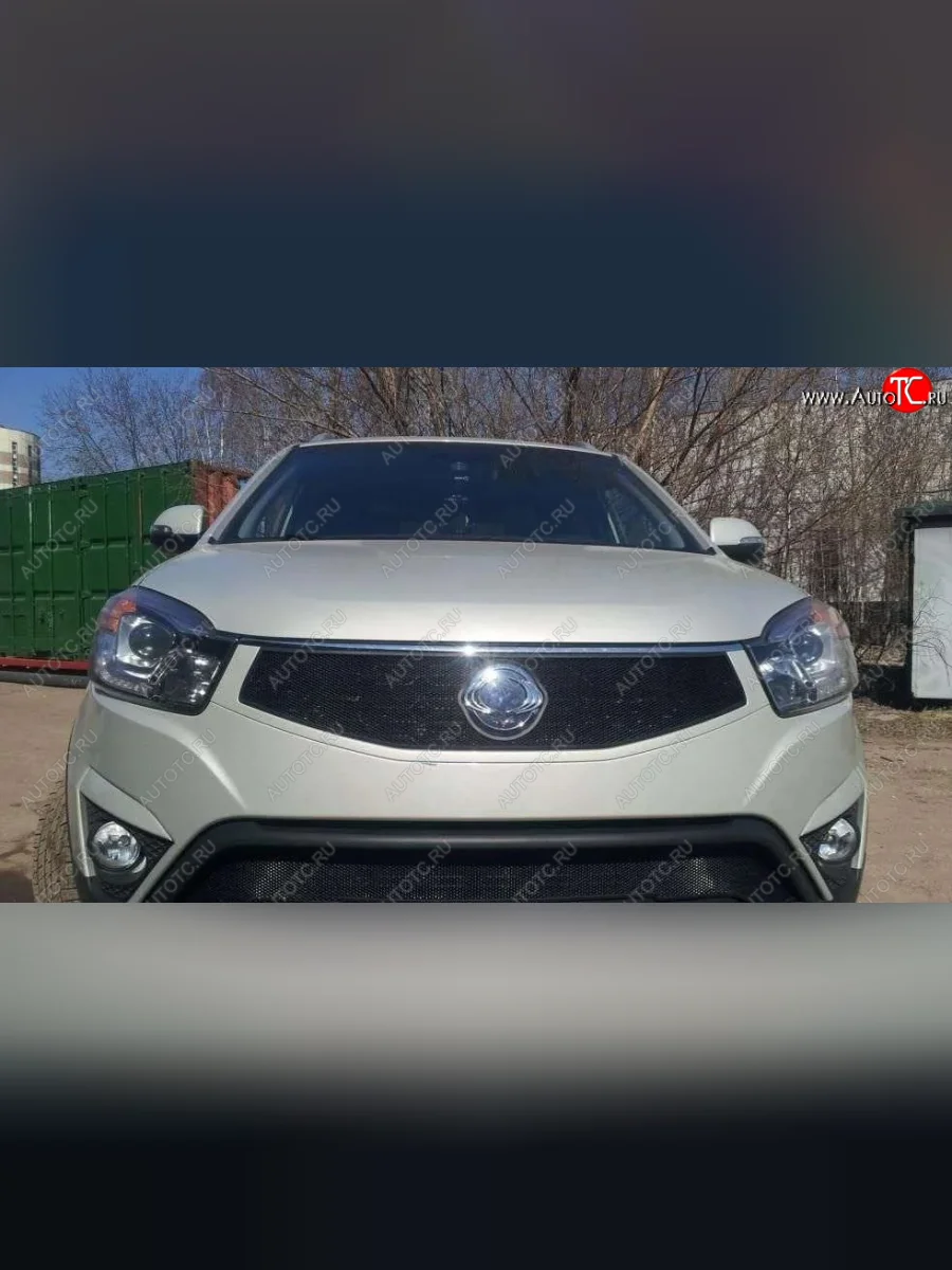 Защитная сетка в решетку радиатора Russtal SSANGYONG Actyon рестайлинг (2013-2021)  с доставкой в г. Пермь