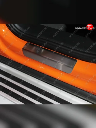 Накладки на задние порожки (нержавейка) ТСС Тюнинг (шлифованный лист) Audi Q3 F3 (2018-2022)