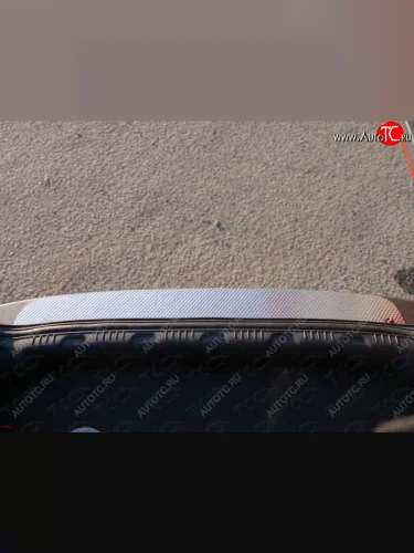 Накладка на задний бампер ТСС Тюнинг (Лист декоративный) Ford EcoSport дорестайлинг (2013-2019)