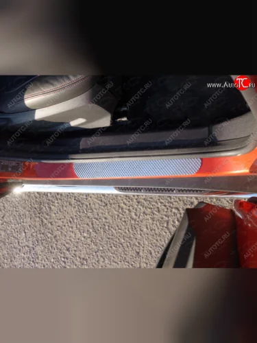 Накладки на пороги ТСС Тюнинг (Лист декоративный) Ford EcoSport дорестайлинг (2013-2019)