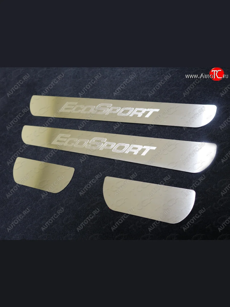 Накладки на пороги ТСС Тюнинг Ford EcoSport дорестайлинг (2013-2019) (лист шлифованный надпись EcoSport)  в Керчи Республика Крым