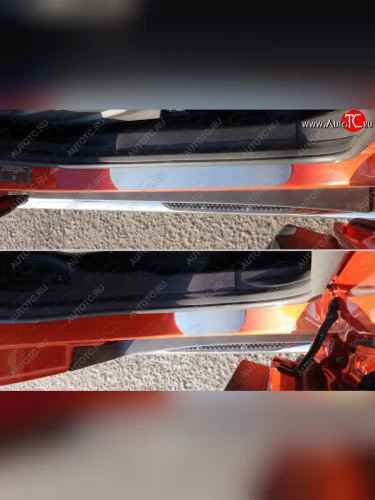 Накладки на пороги ТСС Тюнинг (лист шлифованный) Ford EcoSport дорестайлинг (2013-2019)