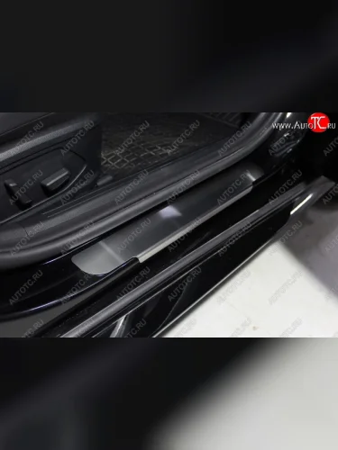 Накладки на пороги ТСС Тюнинг (Лист шлифованный) Hyundai Sonata DN8 (2019-2022)