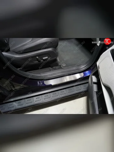 Накладки на пороги передние ТСС Тюнинг (Лист шлифованный) KIA Carnival KA4 минивэн дорестайлинг (2020-2023)